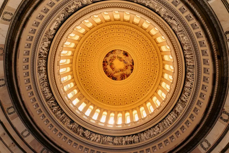 The Staffers Who Stayed: How Congress's Most Trusted Insiders Became Its Most Effective Adversaries
